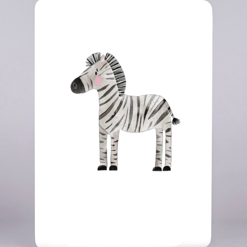 Zebra